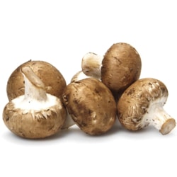 Baby Bella Mushrooms