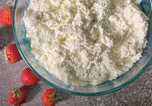 Best Farmer Cheese Recipe