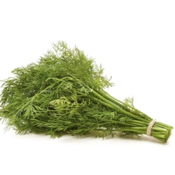 Fresh Dill