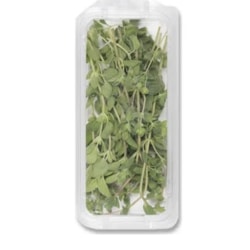 Fresh Oregano