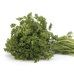 Fresh Parsley
