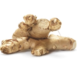 Ginger Root