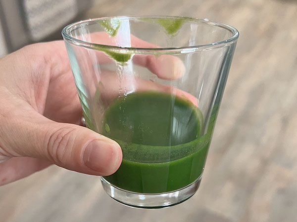 Homemade green coloring, spinach based.