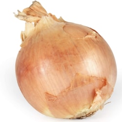 Onion