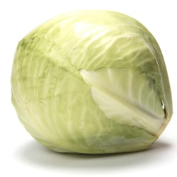 Organic Cabbage