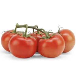 Tomatoes on the Vine