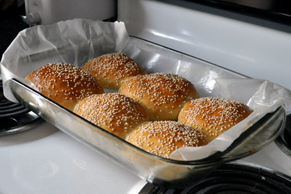Easy Hamburger Buns photo instruction 5