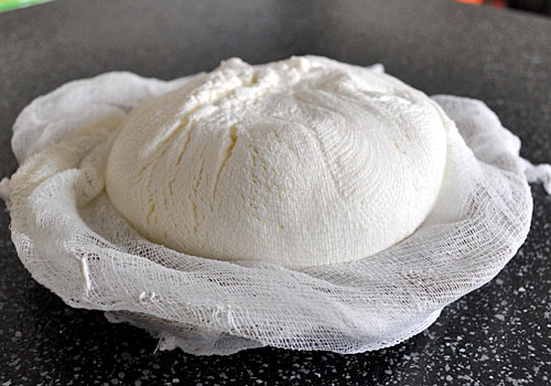 Сочники с Рикоттой пошаговое фото 1 Сочники с Рикоттой пошаговое фото 1