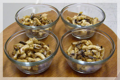 Russian Chicken Julienne photo instruction 4