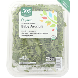 Baby Arugula