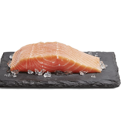 Salmon