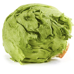 Iceberg Lettuce