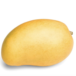 Yellow Mango