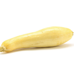 Yellow Squash